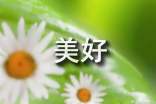 美好寄語有哪些
