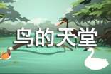 鳥的天堂導(dǎo)游詞(合集)
